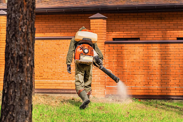 Trusted Rodent Control service in Bargaintown, NJ - Nex Pest Control